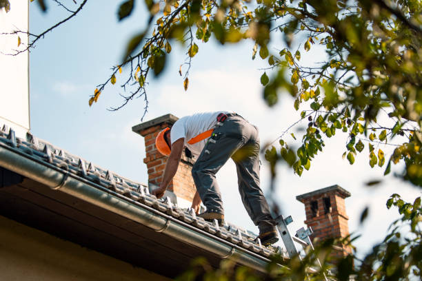 Best Roof Gutter Cleaning  in Wiggins, CO