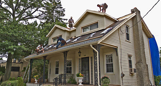 Best Roof Maintenance Services  in Wiggins, CO